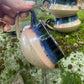 The Cappucino Cup